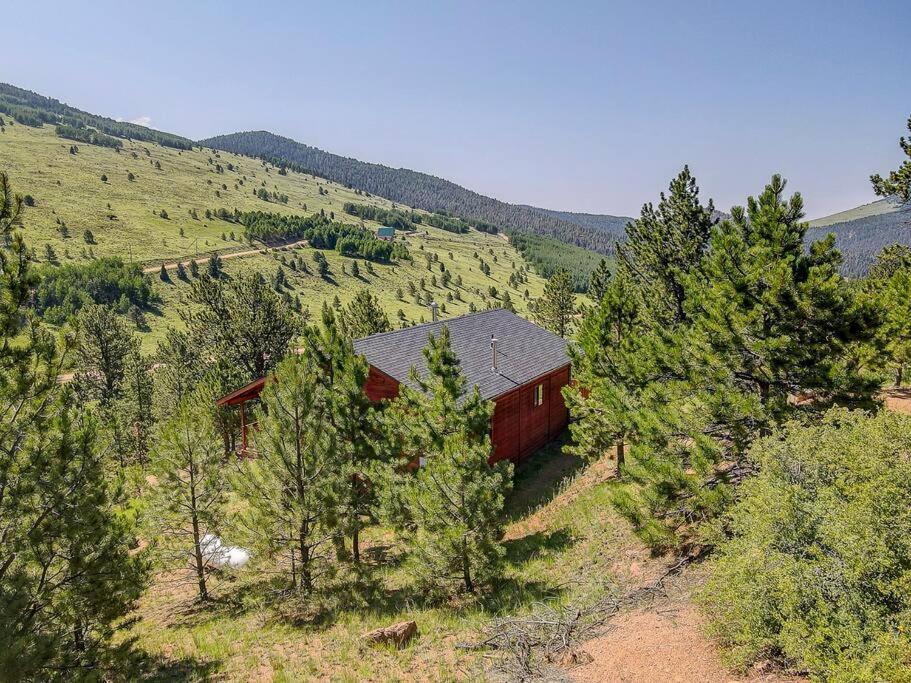Monarch Landing, A Cozy Cabin W/360 Mountain Views クリップル・クリーク エクステリア 写真