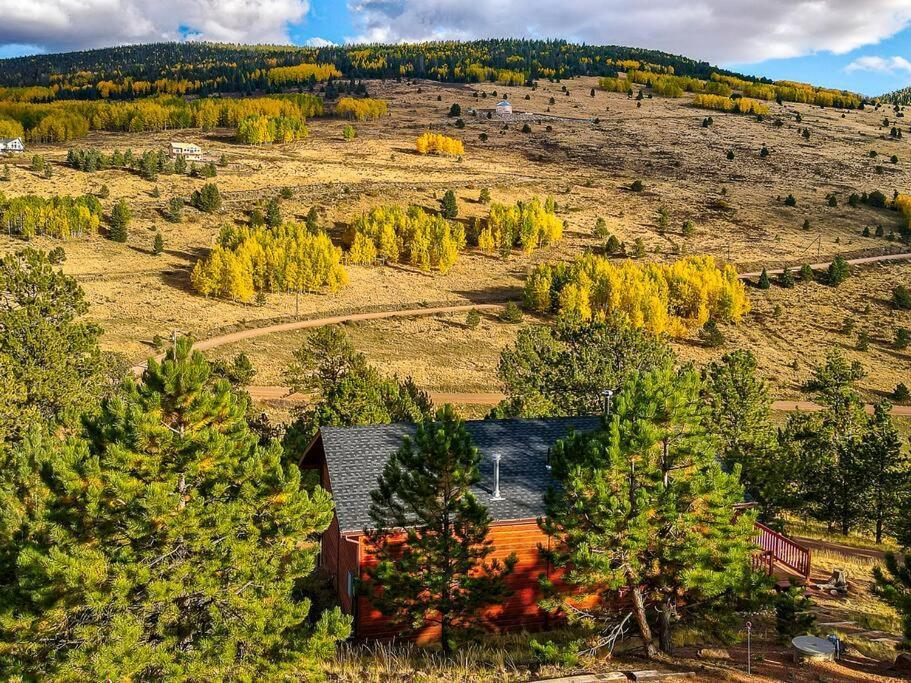 Monarch Landing, A Cozy Cabin W/360 Mountain Views クリップル・クリーク エクステリア 写真
